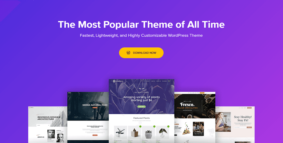 Astra Pro Bundle (Theme+Pro Addon+Templates)